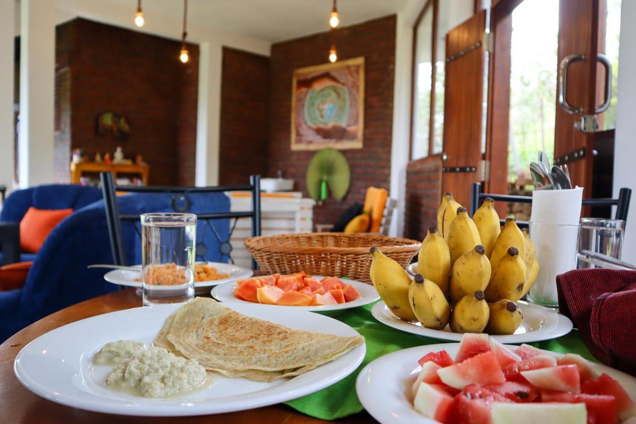 Shambala Retreat Bed & Breakfast Ела Екстериор снимка